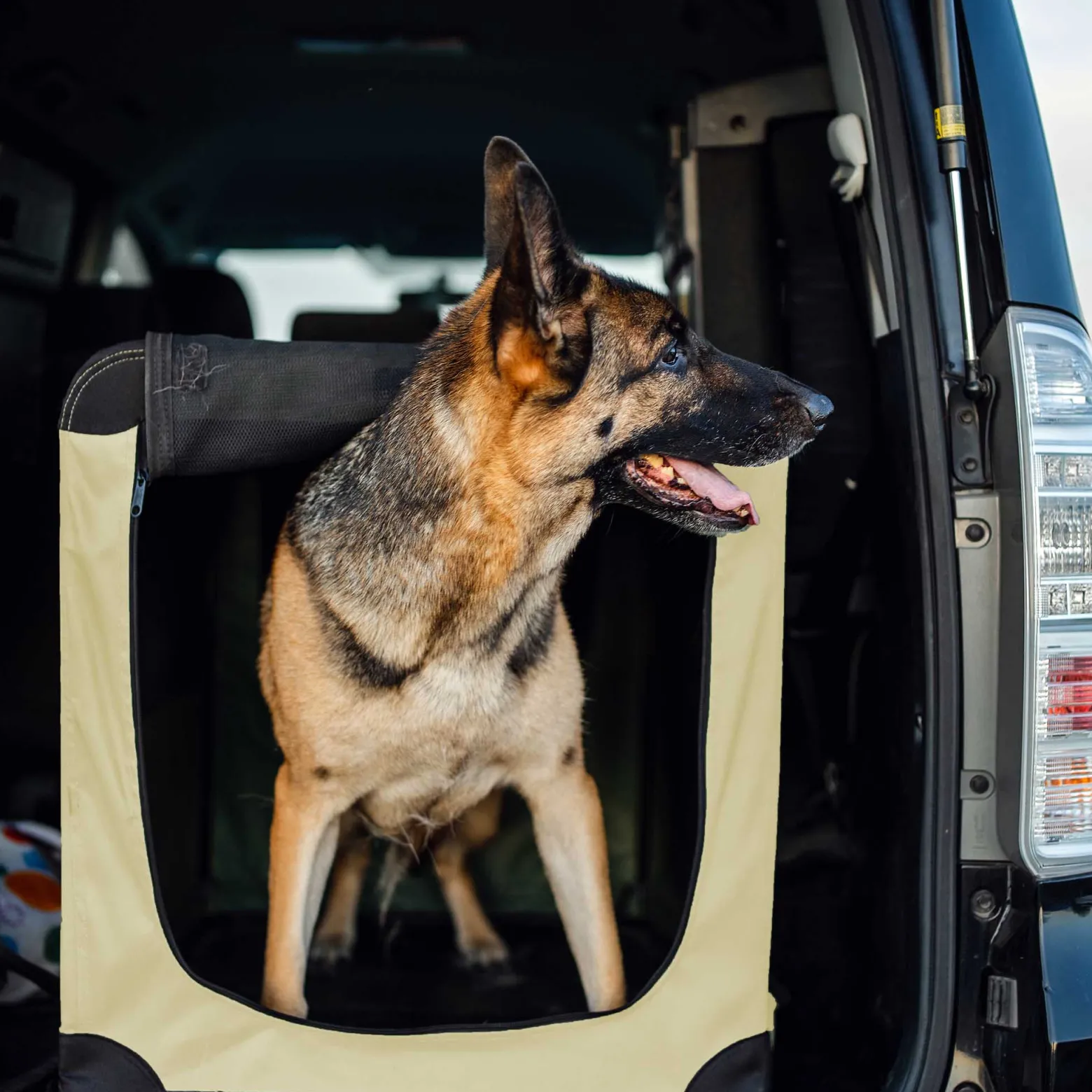Fudajo Faltbare Transportbox für Hunde, Katzen XL (82x56x58cm), robust, leicht, sicher, Hundebox mit Tragegriff und Decke, Beige