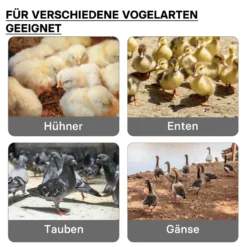 Fudajo Küken-Wärmeplatte 40x60cm 66W Heizplatte mit Temperaturregler für 45-50 Küken zur Kunstbrut