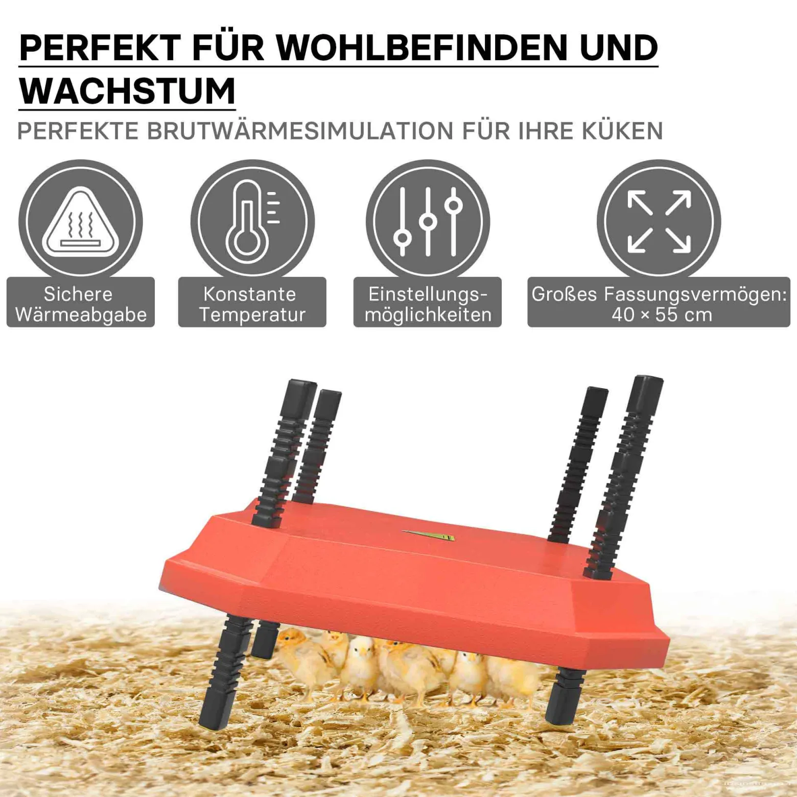 Fudajo 40x55cm Küken-Wärmeplatte mit Temperaturregler 50W Heizplatte für 40-45 Küken für Kunstbrut