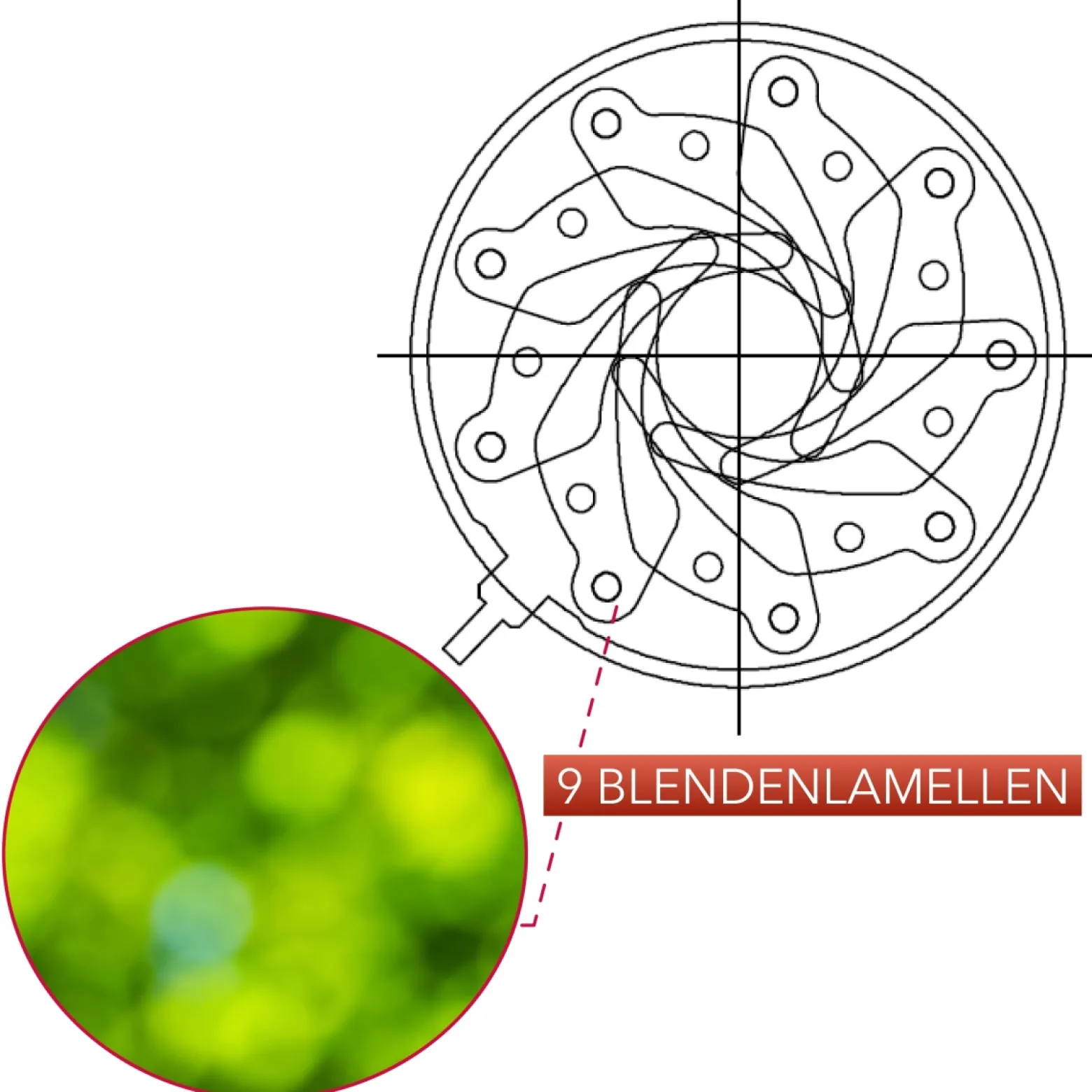Samyang Ultraweitwinkel Cine- und Video Objektiv MF 14mm T3,1 VDSLR MK2 – lichtstarkes T3,1 kompatibel mit Canon EF Mount, 14 mm Festbrennweite, Follow Focus Zahnkränze Vollformat und APS-C 8K Auflösung