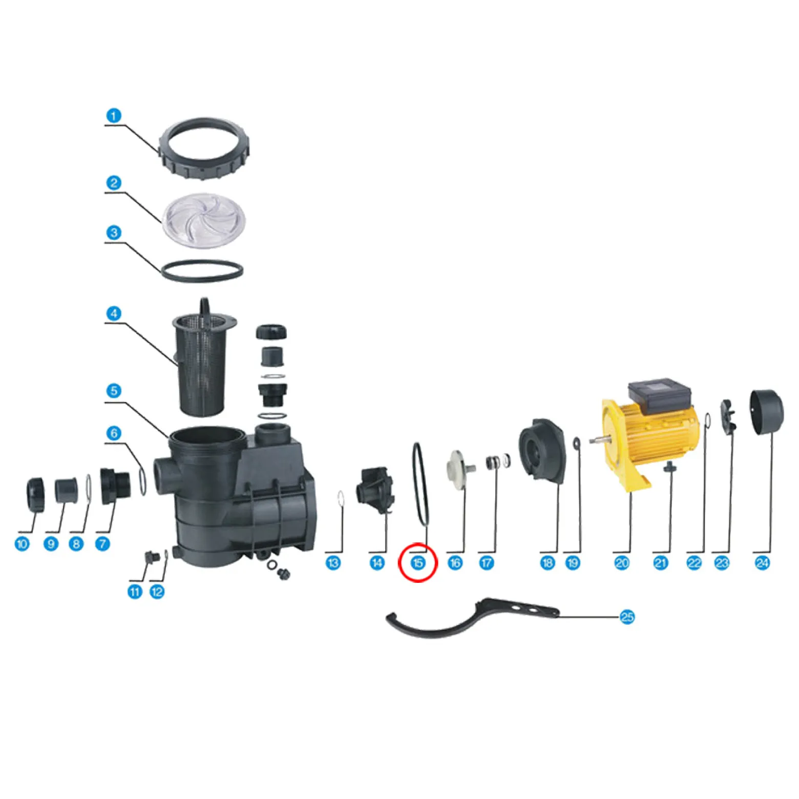 SunSun Ersatzteil für Schwimmbadpumpe Dichtung 4, 550 W Poolfilteranlage, Poolpumpe mit Schwimmerschalter, Filterpumpe 13000 l/h