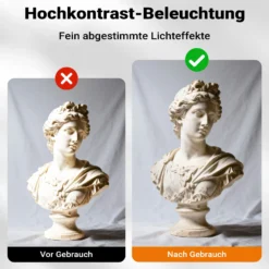 Walimex pro Parabol Reflexschirm schwarz/ silberfarben Ø 105 cm für kontrastreiches Licht