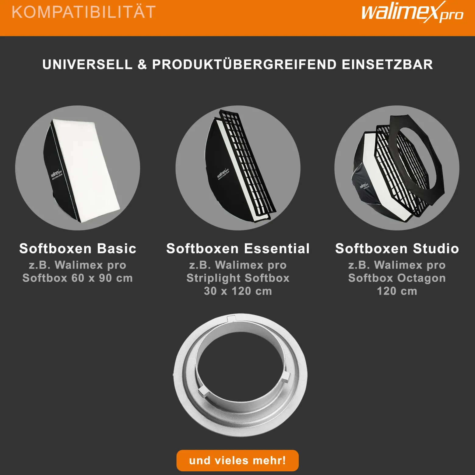 Walimex pro Softboxadapter kompatibel mit Aurora/Bowens - 152 x 152 x 30 mm - Metall - Lichtformer Adapter für Walimex RD, kompatibel mit Aurora Fusion, kompatibel mit Genesis