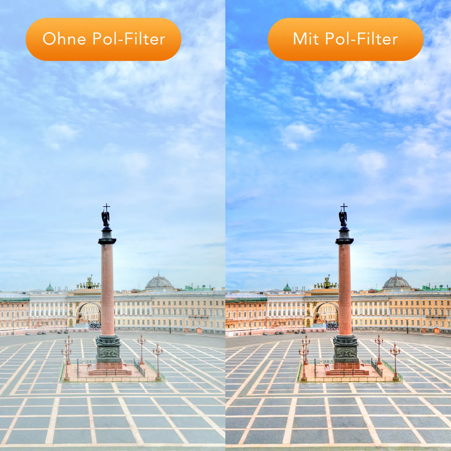 Walimex pro Zirkularer Polfilter MC - Ø 55 mm - mehrfach vergütet - mit Schutzhülle, reduziert Reflexionen, verstärkt Kontraste und Farbsättigung - ideal für die Landschaftsfotografie