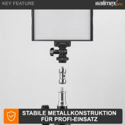 Walimex Set 2x Spigot Gewinde Adapter 3/8 Zoll bis 1/4 Zoll und 2x Spigot Gewinde Adapter 3/8 Zoll auf 1/4 Zoll– Gewindeadapter für Kamera Zubehör und Stativ – Fotostudio Fotoshootings Fotografie
