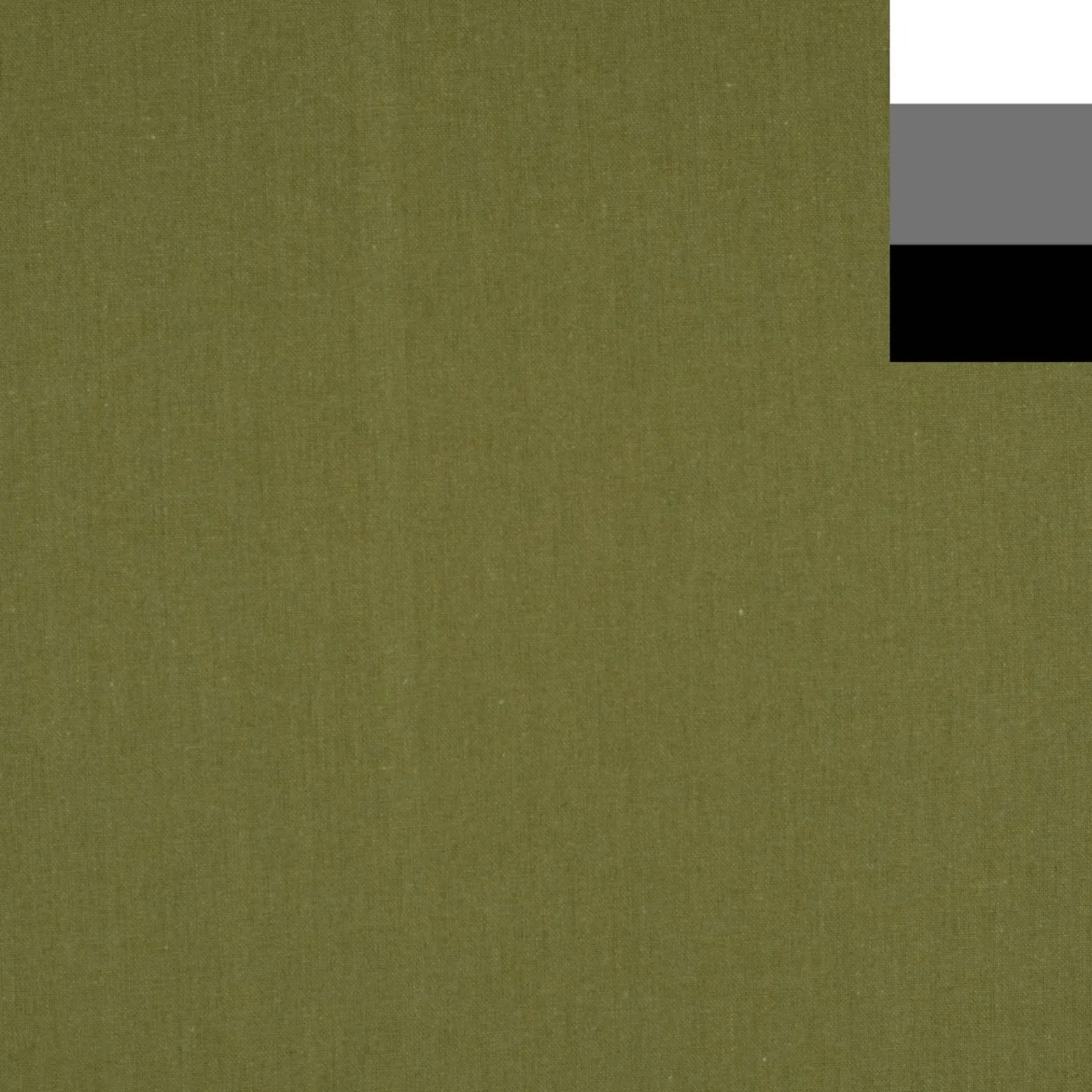 Walimex Stoffhintergrund Kaktus 2,85 x 6 m Stoffstärke ca. 140 g/m², Fotohintergrund aus Baumwolle, waschbar für Atelier und Studio