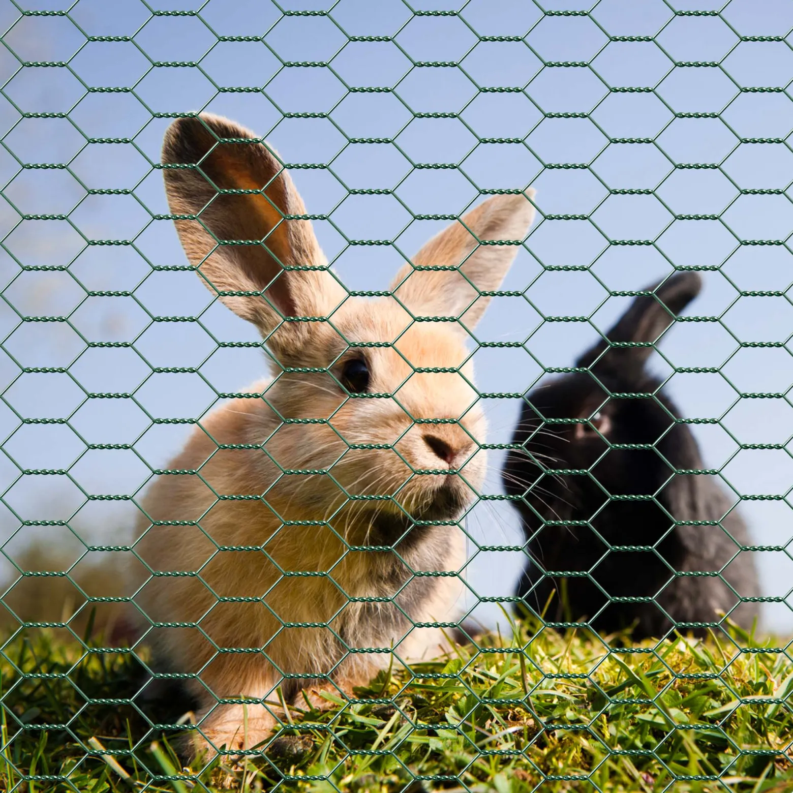 Wiltec Maschendrahtzaun Grün 60 cm x 10 m, 0,6 mm Stärke 25 x 25 mm Maschengröße, Volierendraht 6-Eck aus Stahl verzinkt, Drahtgitter, Vogeldraht