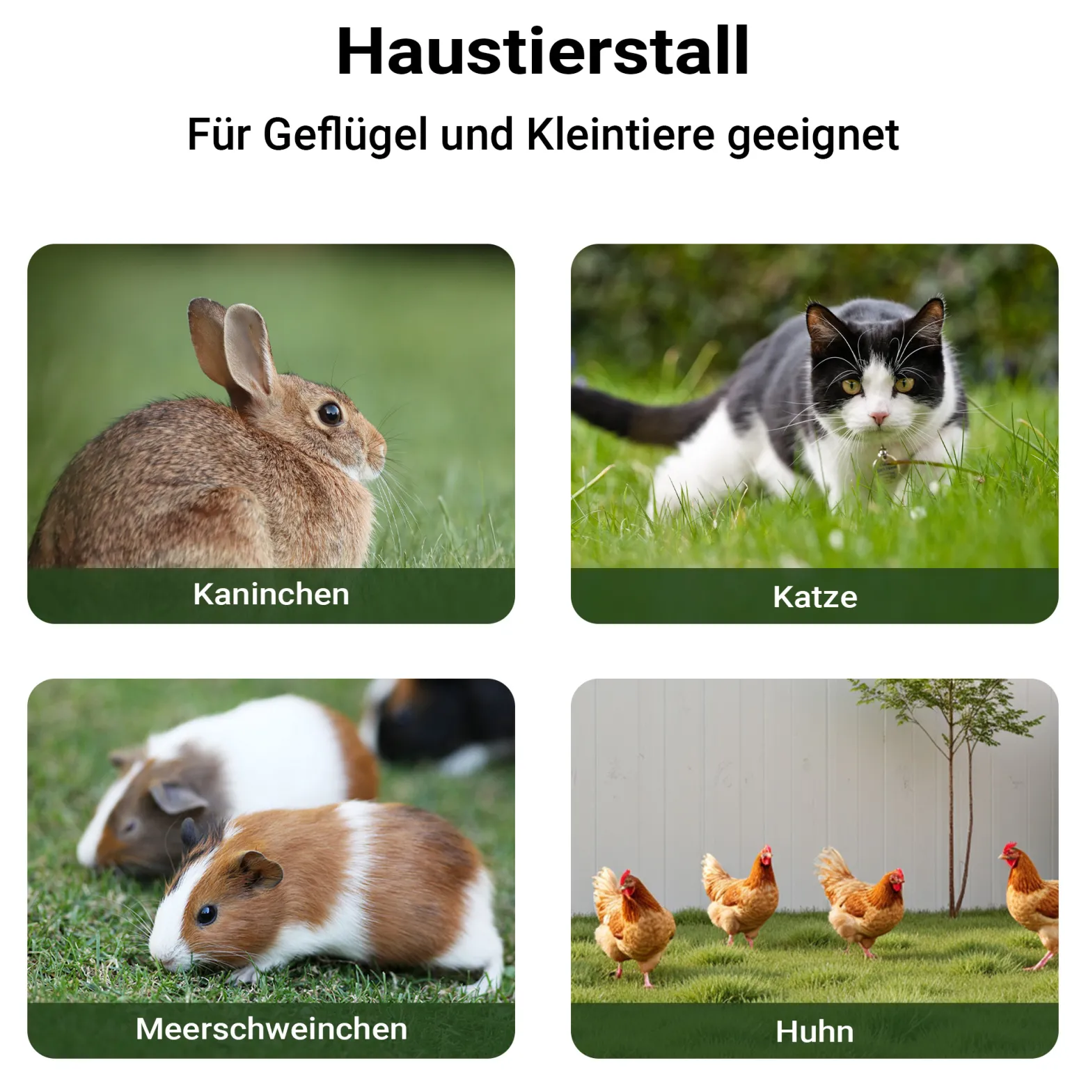 Wiltec Nagerhaus 1950 x 635 x 1200 mm, Hasenstall aus Fichtenholz, mit Bitumeneindeckung, Hühnerstall mit Nistkasten, Kleintierhaus Freilauf Gehege