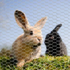 Wiltec Volierendraht 25 x 1 m, Hasendraht mit 50 mm Maschenweite, Sechseckgeflecht Stahl verzinkt, wetterfester Hühnerdraht für Gehege
