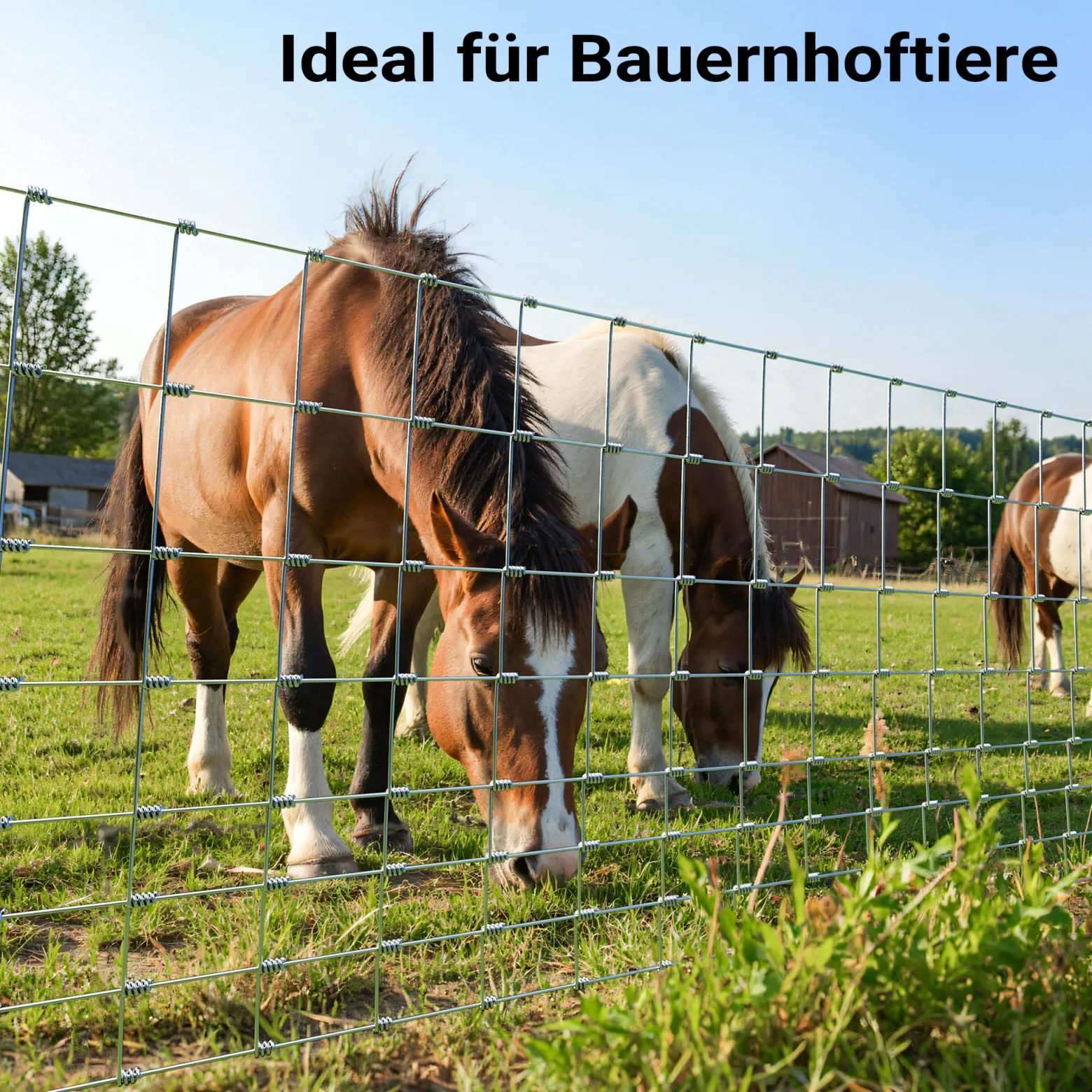 Wiltec Wildzaun 100/08/15 50 m lang, 100 cm hoch, 8 Drahtreihen, 15 cm Maschenbreite, Weidezaun aus Knotengeflecht, Drahtzaun z. B. für Forst- und Landwirtschaft